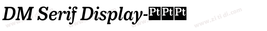 DM Serif Display字体转换